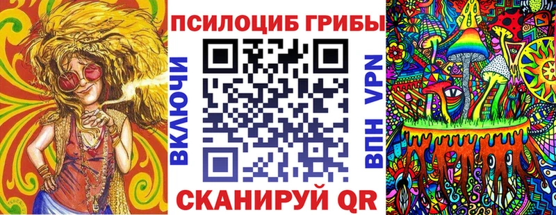 как найти закладки  Невьянск  Галлюциногенные грибы Cubensis 
